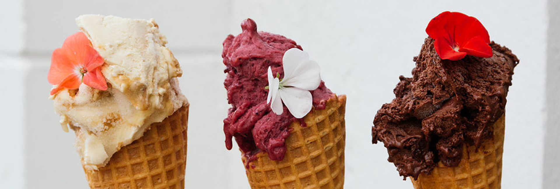 Little Lato gelato - Auckland Fish Market