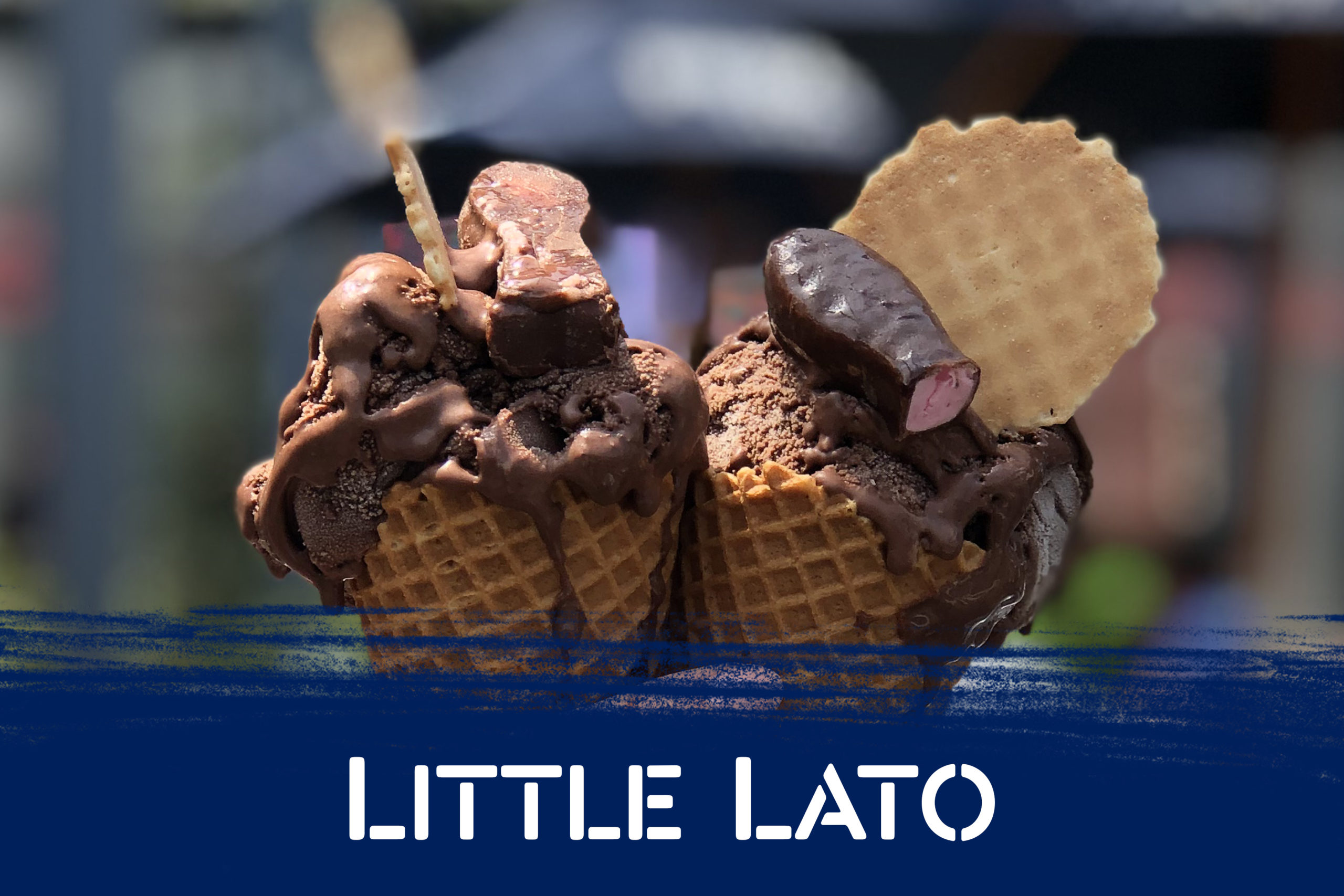 Order Little Lato online