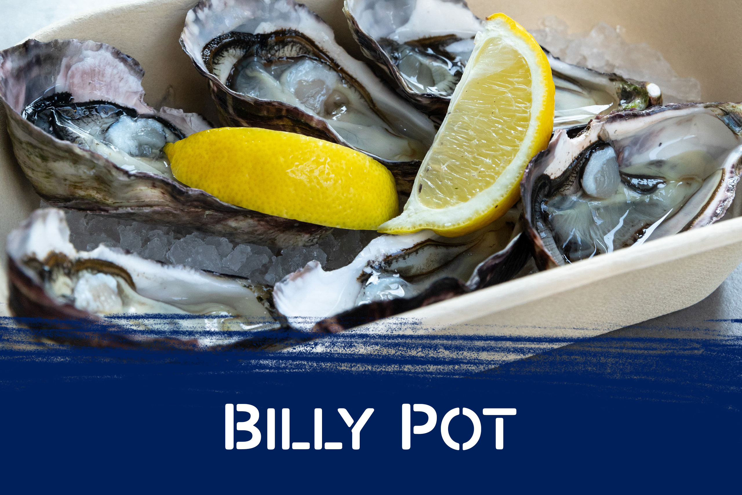 Billy Pot at Auckland Fish Market